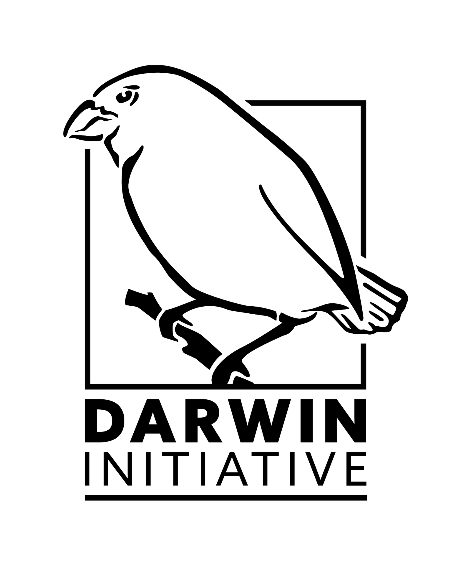 Darwin Logo