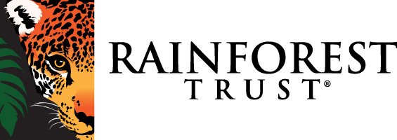 Rainforest Logo