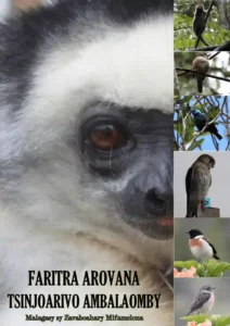 faritra arovana tsinjoarivo ambalaomby